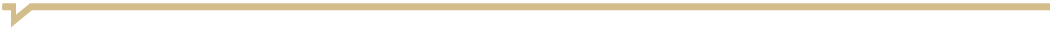 Underline Graphic in Gold.png
